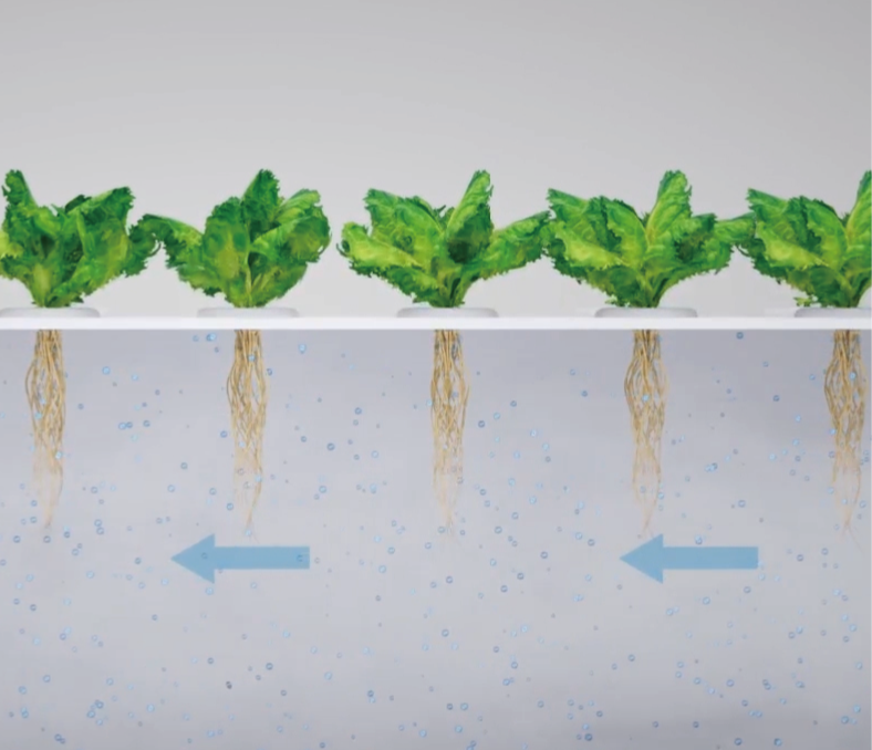 Floponics Technology